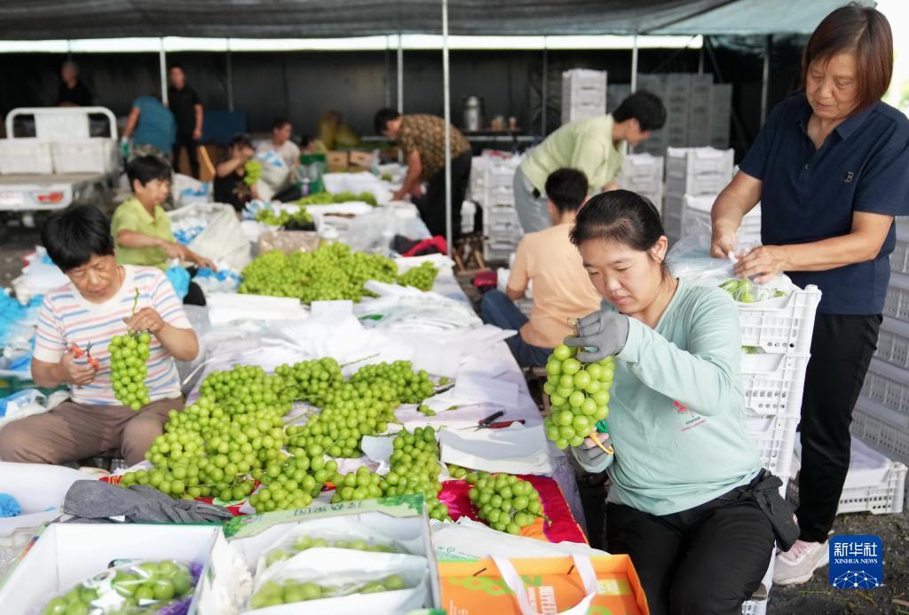 大奖888游戏平台
